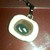 :iconearings: