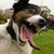 :iconearl-o: