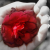 :iconearlybyrd: