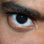 :iconearn31: