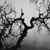 :iconearth-girl: