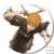 :iconearthbender666: