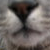 :iconearthwitch12:
