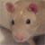 :iconearthwolfen: