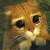 :iconeasytigrr: