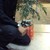 :iconeatit007:
