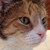 :iconeatpraydraw: