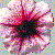 :iconeav-photo: