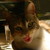 :iconeaxyr: