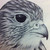 :iconebliss261: