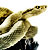 :iconebony-piranha: