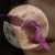:iconebony-raven: