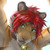 :iconebonyhorsestroker555: