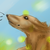 :iconebonyravens: