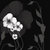 :iconebonys-ivory: