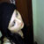 :iconebutterfly: