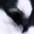 :iconec-avior: