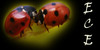 group avatar