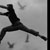 :iconecho-resounds: