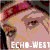 :iconecho-west: