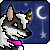 :iconecko-77:
