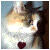:iconeclecticelectric: