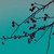 :iconeclecticparasol: