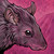 EclecticRat :iconeclecticrat: