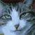 :iconeclecticsoul76:
