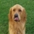 :iconeclipse-luna-llena: