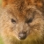 :iconeclipseattwilight: