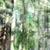 :iconeclipsedynamo: