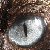 :iconeclipsefell: