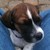 :iconeclipsegraphics888: