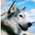 :iconecocanine: