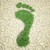 :iconecofootprint: