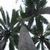 :iconEcoforestal: