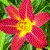 :iconecphotography64: