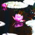 :iconecrons-wisdom-art: