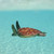 :iconecstasysunset: