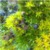 :iconecstaticwillow: