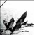 :iconedange:
