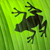 :iconeddeer:
