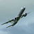 :iconeddie757: