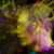 :iconeddieleeart: