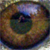 :iconeddy-da: