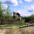 EddyRichie :iconeddyrichie: