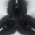 :iconedelivedet: