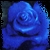 :iconedelweiss8: