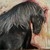 :iconeden-artfromtheheart: